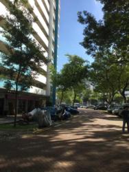Blk 34 Whampoa West (Kallang/Whampoa), HDB 3 Rooms #129662852